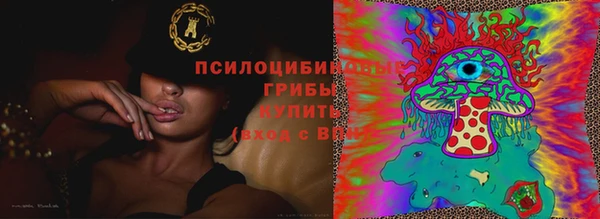 дживик Балахна