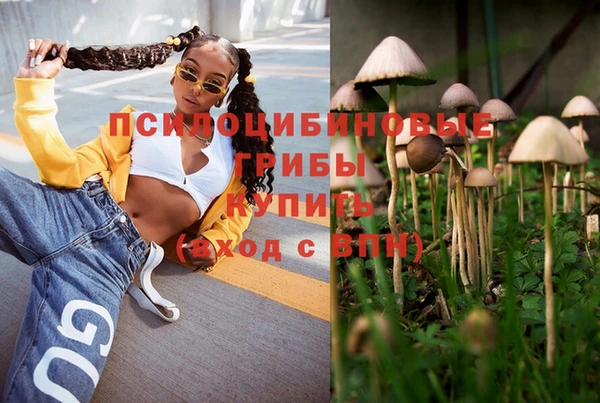 дживик Балахна